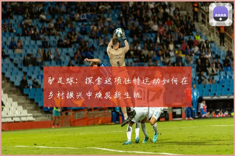 驴足球：探索这项独特运动如何在乡村振兴中焕发新生机