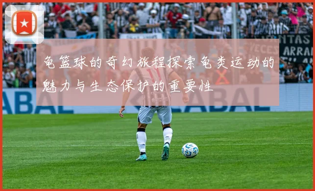 龟篮球的奇幻旅程探索龟类运动的魅力与生态保护的重要性