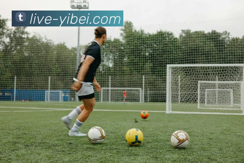 易倍体育官方网站APP 高清赛事图